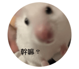 710715878