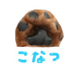 710718075