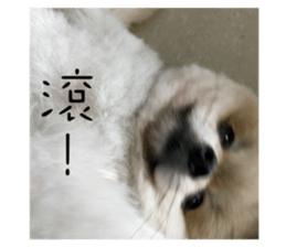 710725232