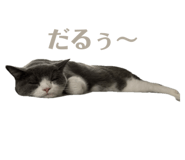 710729521
