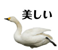 710735866