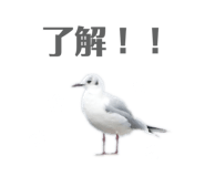 710735867
