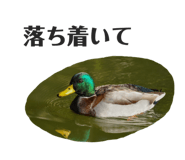 710735868
