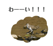 710735871