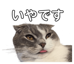 710738103
