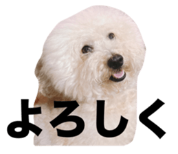 710747371