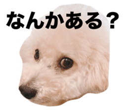 710747374