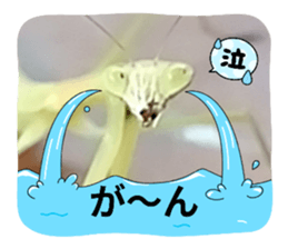 710755560