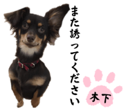 710778753