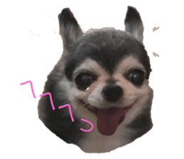 710788898