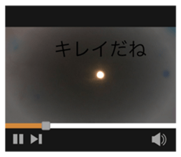 710795884