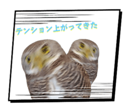 710799822