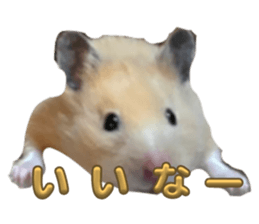 710812738