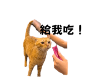 710827304
