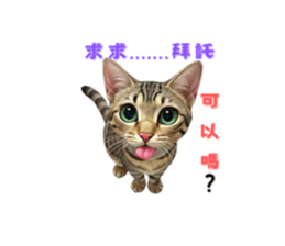 710866943