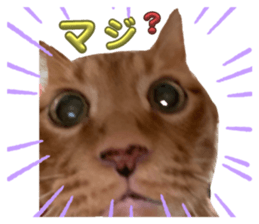 710873360