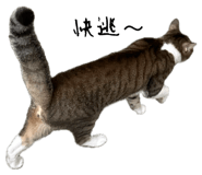 710877442