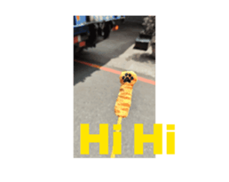 710880521