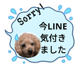 710882291