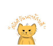 710883797
