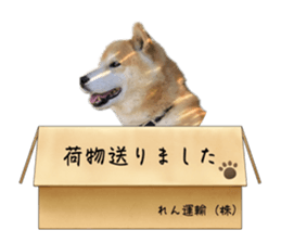 710883930