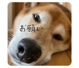 710886798