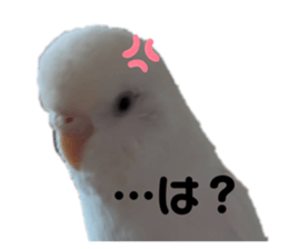 710894860