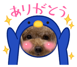 710914528