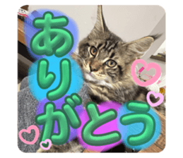 710957215