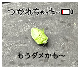 710967258