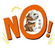 710994096
