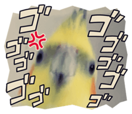 711005114