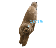 711011369