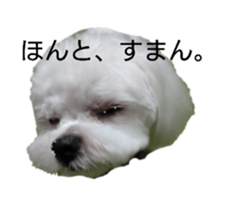711030451