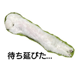 711030454