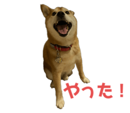 711030953