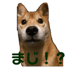 711030959