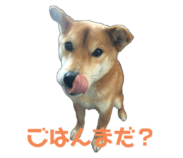 711030960