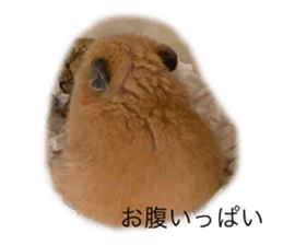 711041467