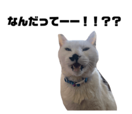 711041607
