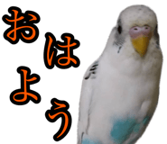 711045881