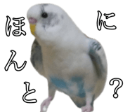 711045883