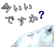711045884
