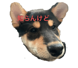 711046787