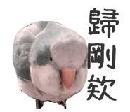 711048497