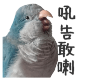 711048502
