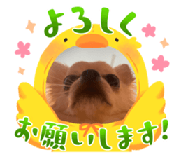 711050423