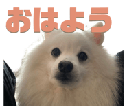 711054585