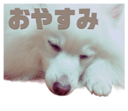 711054586