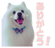 711054588